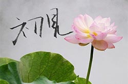 雾里看花，蓦然回首—初识跨境电子商务