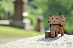 提升亚马逊商品刊登曝光率的五大要素